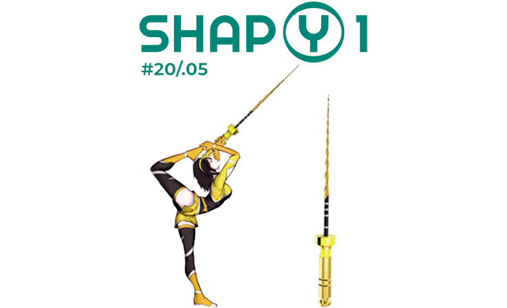 Re Treaty Shap Y1