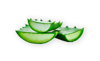 Immagine di Guanti in Lattice con Aloe Vera Reflexx L600 / L