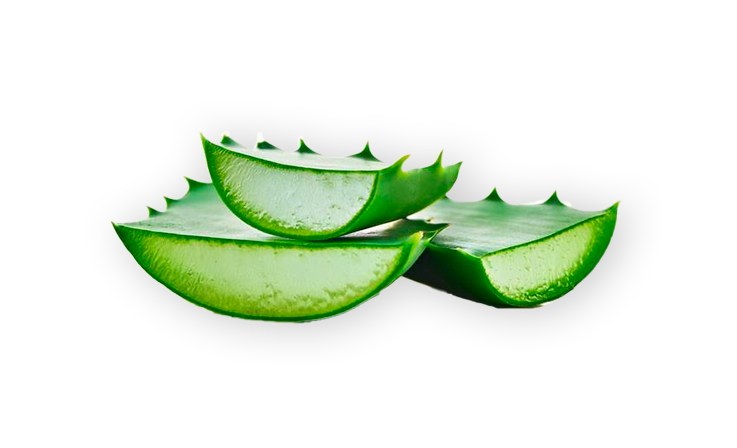 Immagine di Guanti in Lattice con Aloe Vera Reflexx L600 / XS